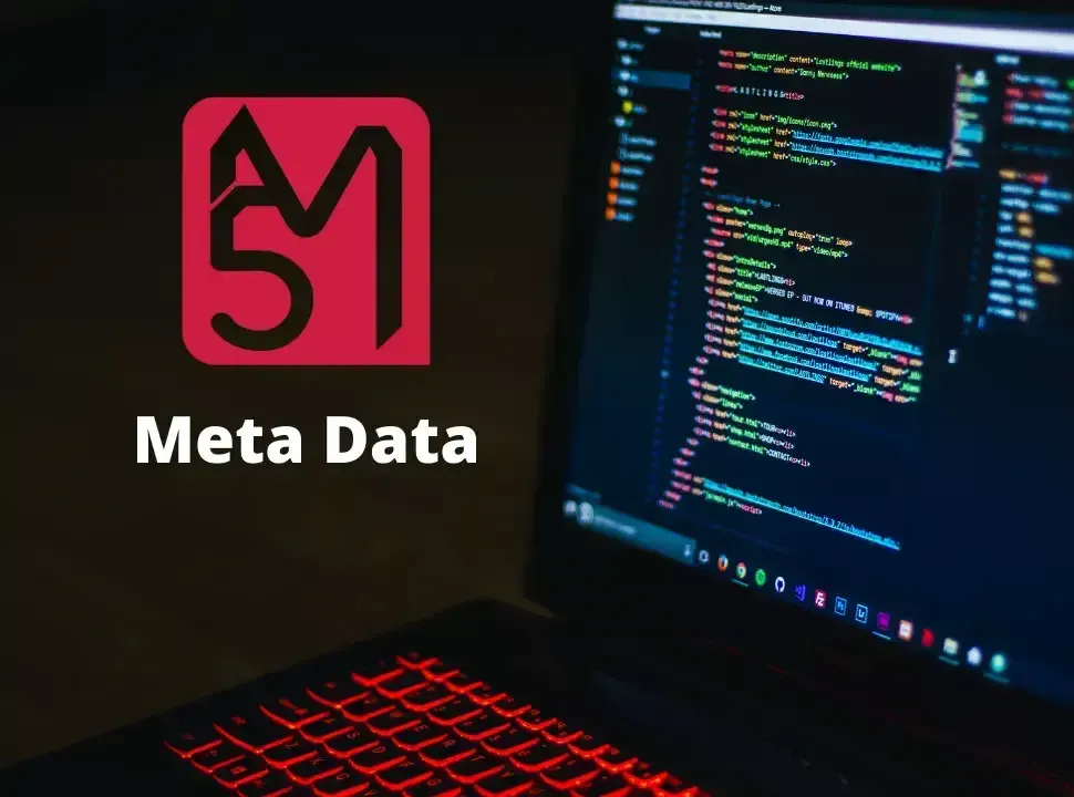 Meta Data și importanța acestora